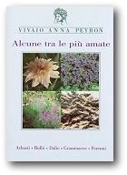 Alcune tra le pi amate