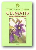 Clematis