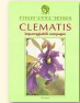 copertina Clematis