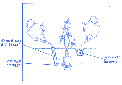 c01