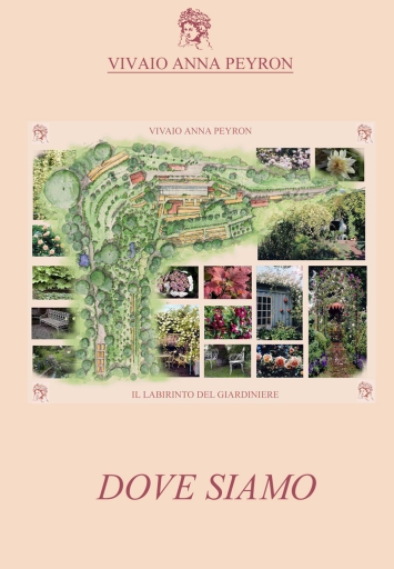 7-dovesiamo