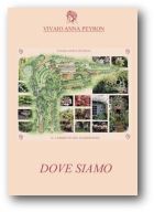 Dove siamo